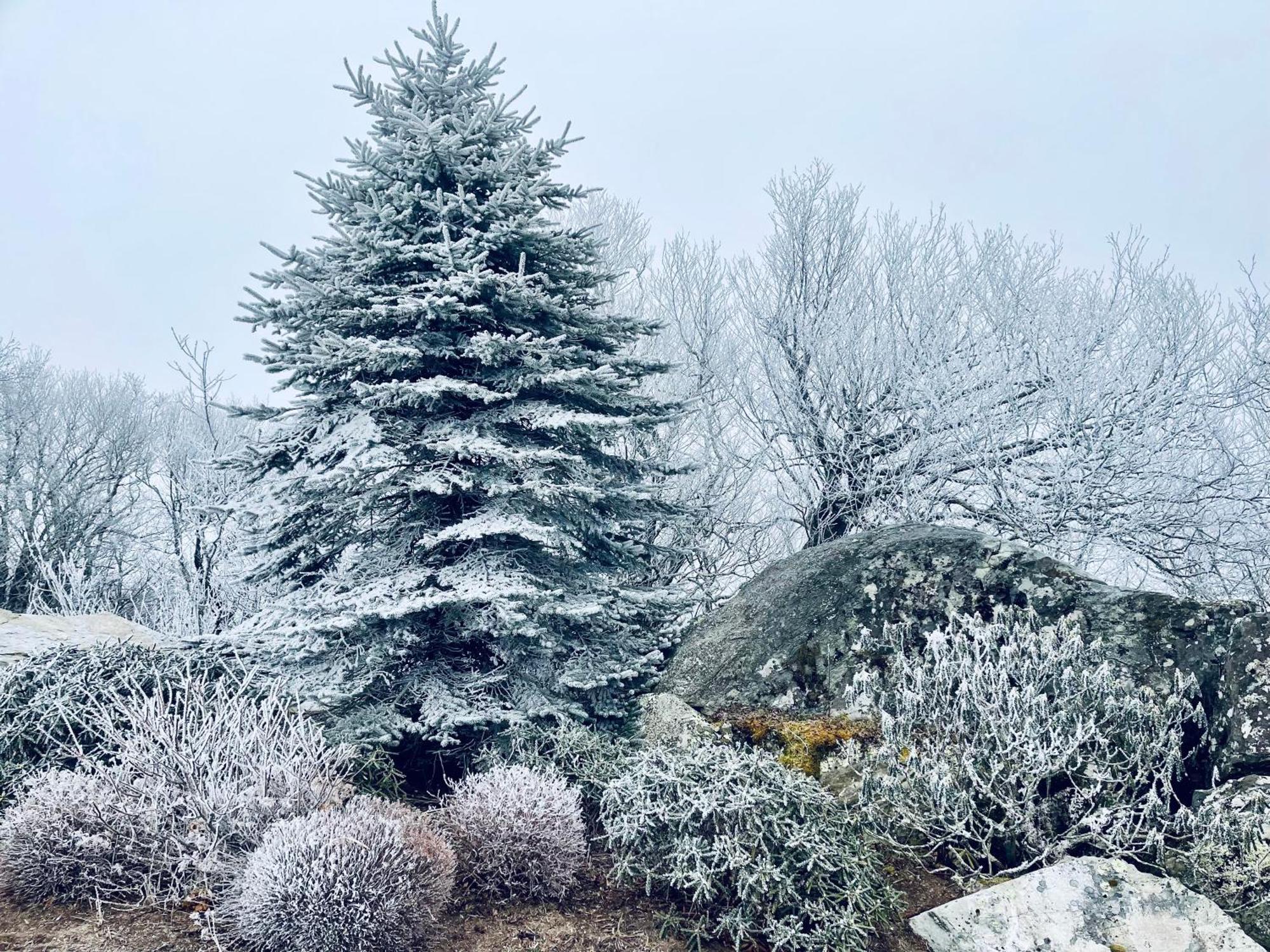 Bucket List Views Sugar Mountain Private Condo - 2Bed, 2Bath, Sleeps 6, Panoramic Views Of Mountains From Large Deck, Short Drive To Shopping, Restaurants, Cafes & Banner Elk Town Экстерьер фото